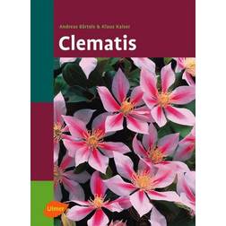 Clematis