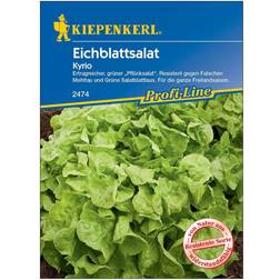 Kiepenkerl Eichblattsalat Kyrio ca. 150