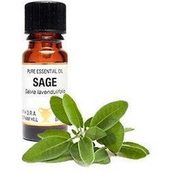 Amphora Aromatics Sage Essential Oil 10Ml