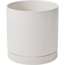 AllModern Ceramic Pot Planter Ceramic