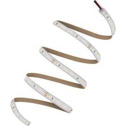 LEDVANCE Value P 24V, 1000 LED bånd