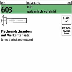 Sonstige 12X50 DIN 603 8.8 FZB bræddebolt