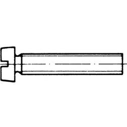 Zylinderschraube ISO 1207 m.Schlitz M