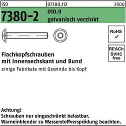 Flako-Schr. Mit Bund Iso 7380 -2 010.9 M 6 x 16 Galv. Verzin