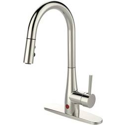 Runfine (RF412002) Brushed Nickel