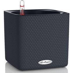 Lechuza Självvattnande Kruka Cube Color 16cm
