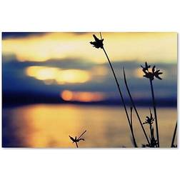 Trademark Fine Art BC0150-C1219GG "Sunset Thoughts" Czyzowska Young Wall Decor