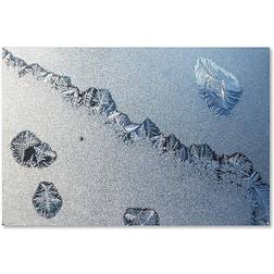 Trademark Fine Art 'Amazing Frost on a Window' Photographic Print on Wrapped Wall Decor