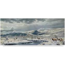 Trademark Fine Art 'September Snow' Graphic Print on Wrapped Wall Decor