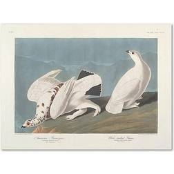 Trademark Fine Art "American Ptarmigan" James Audubon Painting Print on Wrapped Wall Decor