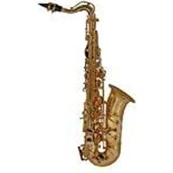 Roy Benson AS-201 Alto saxophone