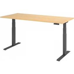 Hammerbacher HAMMERBACHER XDKB19 elektrisch höhenverstellbarer Schreibtisch