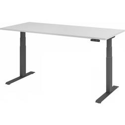 Hammerbacher HAMMERBACHER XDKB19 elektrisch höhenverstellbarer Schreibtisch