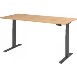 Hammerbacher HAMMERBACHER XDKB19 elektrisch höhenverstellbarer Schreibtisch