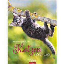 Katzen auf dem Lande Kalender 2024