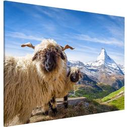 Tableau Magnétique Moutons À Nez Noir De Zermatt