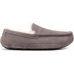 UGG Ascot - Grey