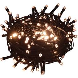 vidaXL 1000 LED Ljusslinga 1000 Lampor