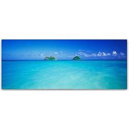 Trademark Fine Art David Evans "Twin Islands-Oahu" Gallery-Wrapped Wall Decor