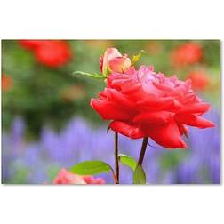 Trademark Fine Art Bloom" Tuggle Photographic Print on Wrapped Wall Decor