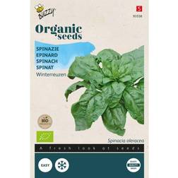 Organic Spinach - Securo BIO