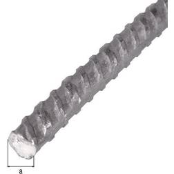 Alberts Alberts Beslag Beton-geribd Staal 10mm 1m Zilver