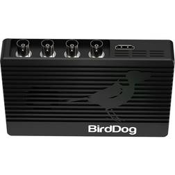 Bird Dog BirdDog 4K QUAD Four channels 12G SDI to 4Kp60 NDI