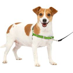 PetSafe Easy Walk Dog Harness No Pull Dog