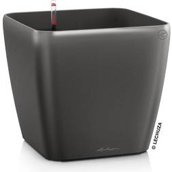 Lechuza QUADRO Premium LS 50, Anthrazit Krukke