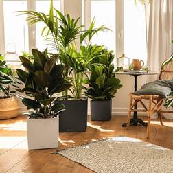 Lechuza Premium Cube 30 All Inclusive Set Anthracite Metallic
