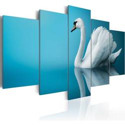 Artgeist Tableau Cygne Sur Fond Bleu-Taille L 100 x H 50 cm Art encadré