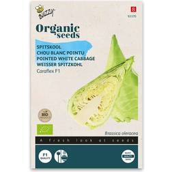 Organic spidskål Caraflex F1 økologiske frø