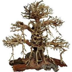 ELDORADO 4FISH Tree roots Old Bonsai 40x20x40