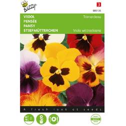Buzzy Buzzy stedmoderblomst Trimardeau Mix frø