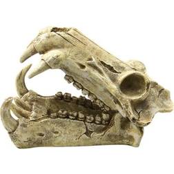 4FISH Skull 20x11x13 cm Fjernlager, 2-3 dages levering