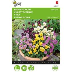 Buzzy Hornviol frø Bambini Buzzy