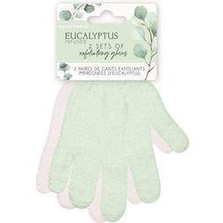 Danielle Bathtopia Eucalyptus Infused Pack of 2 Exfoliating Gloves