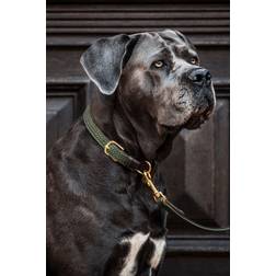 Kentucky Dogwear Guinzagli Per Cani