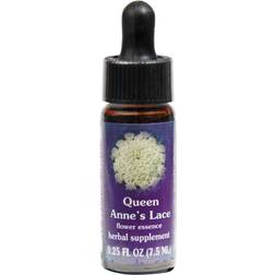 Queen Anne's Lace Essenza Californiana 7,4 ml