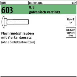 Sonstige M 12X80 DIN 603 8.8 FZB