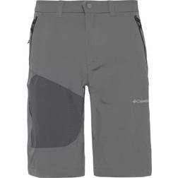 Columbia Pantalones de Senderismo Silver Ridge Utility Cargo Gri