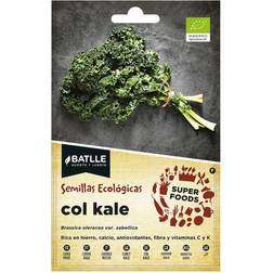 Sobre De Semillas Kale Super Foods Eco 680011 Bols Batlle