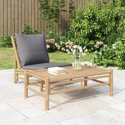 vidaXL Havebord 100x55x33