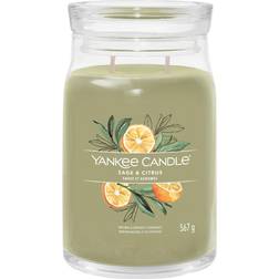 Yankee Candle glas groß sage & citrus Duftkerzen 623g