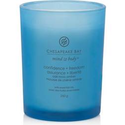 Chesapeake Bay Candle Oak Moss Amber Scented Candle