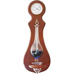 Ambient Weather BA212 Wall Mounted Weather Station with Thermometer