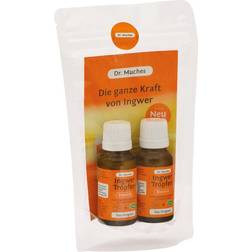 Ingwertropfen Dr.Muches 2x20 Tropfen 40ml
