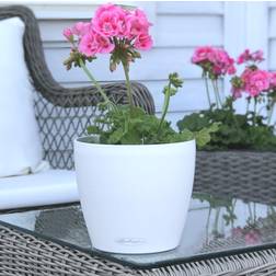 Lechuza plantekrukke CLASSICO Color 18 ALL-IN-ONE Krukke