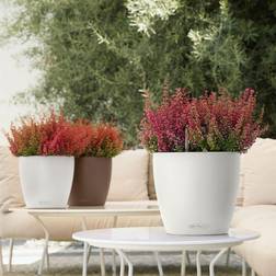 Lechuza plantekrukke CLASSICO Color 21 ALL-IN-ONE Krukke