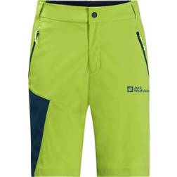 Jack Wolfskin Mens Glastal Shorts - Fresh Green